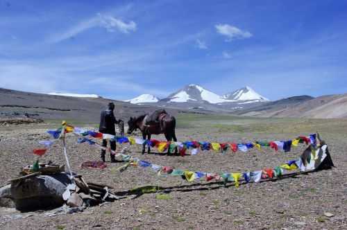 TREKKING IN LADAKH | CHANGTANG 2017